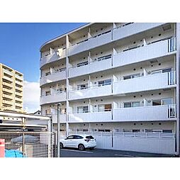 シーム・ドエル筒井