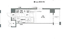 AELL亀有 11階1Kの間取り