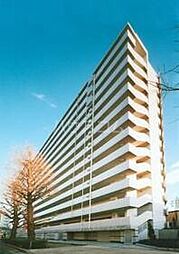 京王線 代田橋駅 徒歩1分の賃貸マンション