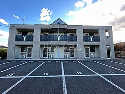 スイートアリッサム