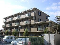 JR総武線 市川駅 徒歩10分