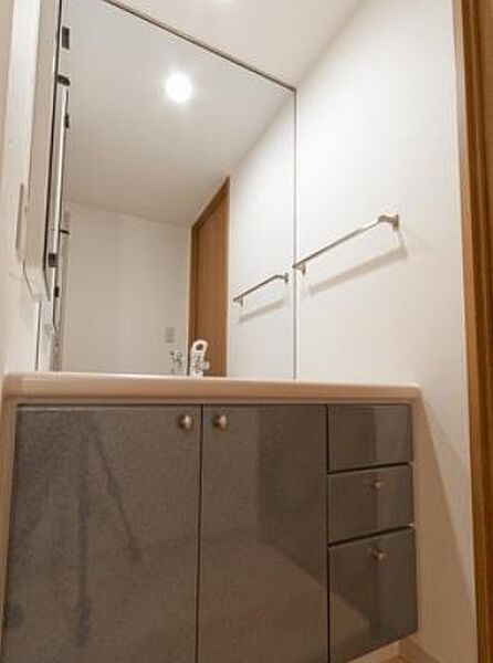 東京都武蔵野市境 賃貸マンション 8階 洗面