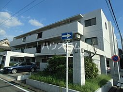 カーサソロチョウ 3A