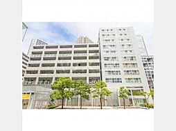 東京メトロ有楽町線 辰巳駅 徒歩9分の賃貸マンション