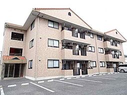 カーサヴィオレッタ　A