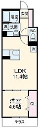 ホワイトバード 1階1LDKの間取り