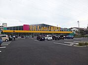 【ドラッグストア】Fit Care DEPOT 野川店まで1193ｍ