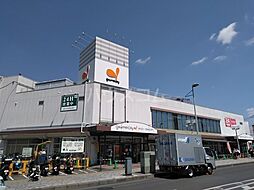 [周辺] 【スーパー】グルメシティ 大根店まで742ｍ