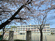 【小学校】浜松市立広沢小学校まで1161ｍ
