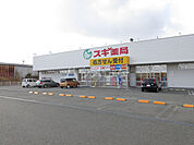 【ドラッグストア】スギドラッグ/スギ薬局 飯村店まで736ｍ
