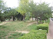【公園】大曽公園まで601ｍ