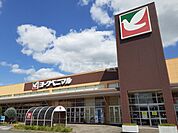 【スーパー】ヨークベニマル赤塚店まで1603ｍ