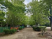 【公園】あさひ公園まで555ｍ