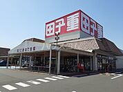 【ショッピングセンター】田子重下川原店まで685ｍ