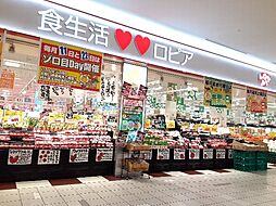[周辺] 【スーパー】ロピア ららぽーと海老名店まで1084ｍ