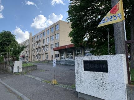 画像13:札幌市立大谷地小学校(小学校)まで196m