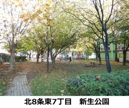 画像17:新生公園(公園)まで206m