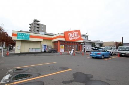 北海道札幌市豊平区平岸二条１丁目(賃貸マンション1LDK・5階・33.45㎡)の写真 その17