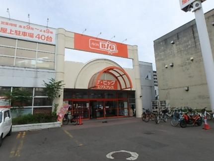 画像18:マックスバリュ北海道（株）／ザ・ビッグエクスプレス白石中央店(スーパー)まで267m