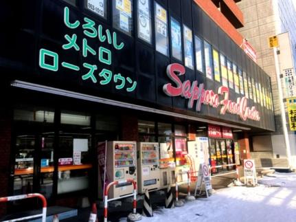 北海道札幌市白石区中央二条５丁目(賃貸マンション2LDK・3階・43.40㎡)の写真 その20