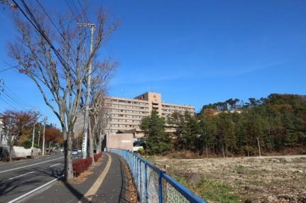 画像13:仙台赤十字病院(病院)まで2300m