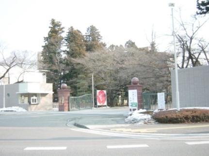 画像15:私立日本大学工学部(その他周辺施設)まで1023m
