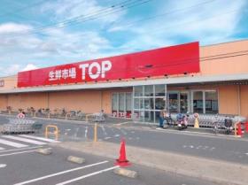 ビーライン日信Ｂ 203号室 ｜ 埼玉県蓮田市見沼町（賃貸アパート1LDK・2階・40.92㎡） その15