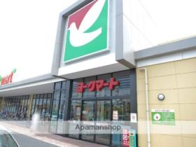 南台ハイツ  ｜ 埼玉県入間市扇町屋１丁目（賃貸アパート1LDK・2階・45.36㎡） その17