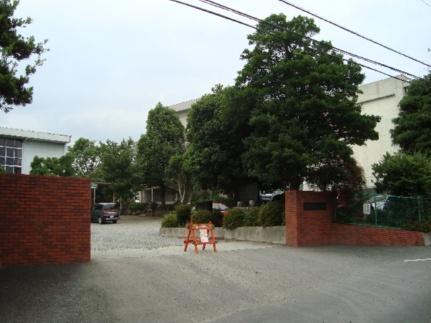 画像15:大富士小学校(その他周辺施設)まで460m