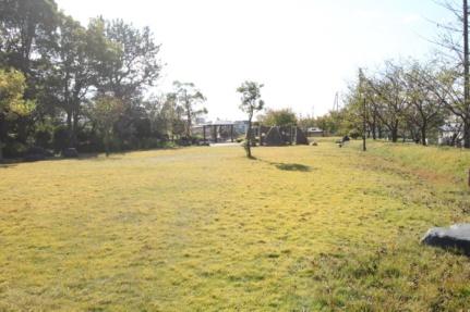 画像13:船岡山公園(公園)まで123m