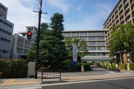 画像14:大阪医科薬科大学(大学・短大)まで318m