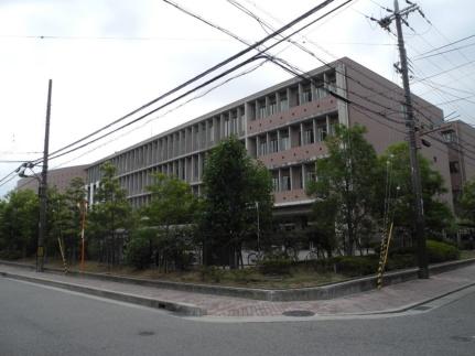 画像17:阪南大学高等学校(高校・高専)まで566m
