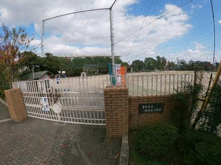 画像18:桜井谷小学校(小学校)まで449m