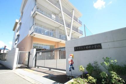 画像17:小曽根小学校(小学校)まで161m