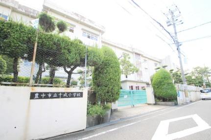 画像17:千成小学校(小学校)まで84m