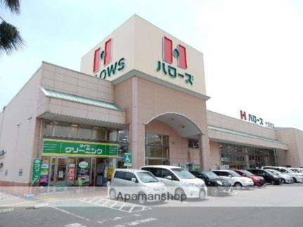 画像17:ハローズ　十日市店(スーパー)まで240m