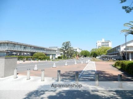 画像17:岡山大学(大学・短大)まで371m