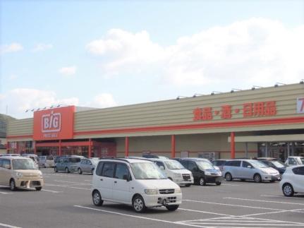 画像17:ザ・ビッグ平島店(スーパー)まで1355m