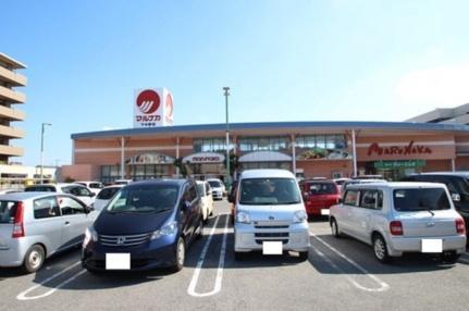 パームツリーＣ 302｜岡山県岡山市南区西市(賃貸アパート1LDK・3階・41.74㎡)の写真 その11