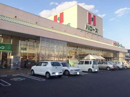 画像17:ハローズ円山店(スーパー)まで1200m