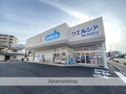 画像18:ウエルシア岡山奉還町店(ドラックストア)まで491m