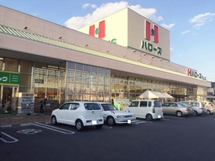 画像13:ハローズ円山店(スーパー)まで457m