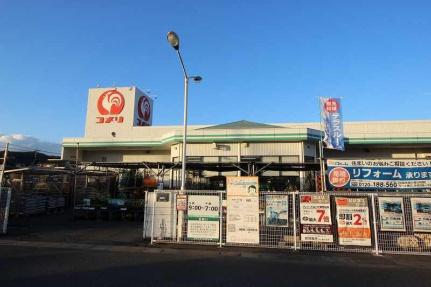 ウィステール 101｜岡山県井原市西江原町(賃貸アパート1LDK・1階・36.00㎡)の写真 その15