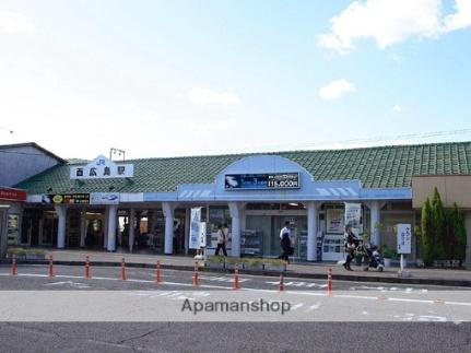 アイビル 205｜広島県広島市西区大芝３丁目(賃貸マンション1K・2階・23.81㎡)の写真 その18