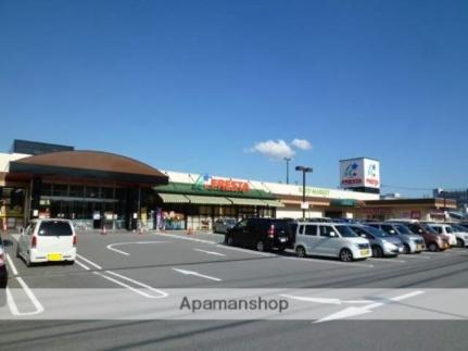 画像17:フレスタ　西条店(スーパー)まで600m