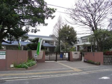 画像14:広島市立本川小学校(小学校)まで640m