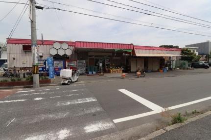 フレグランス東霞　Ｄ棟 0203｜広島県広島市南区東霞町(賃貸アパート1K・2階・28.24㎡)の写真 その13