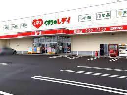 画像14:（株）レデイ薬局／くすりのレデイ春日橋店(ドラックストア)まで755m