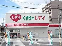 画像6:（株）レデイ薬局／くすりのレデイ花園店(ドラックストア)まで312m