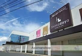 画像14:Shimadaya(販売店)まで256m